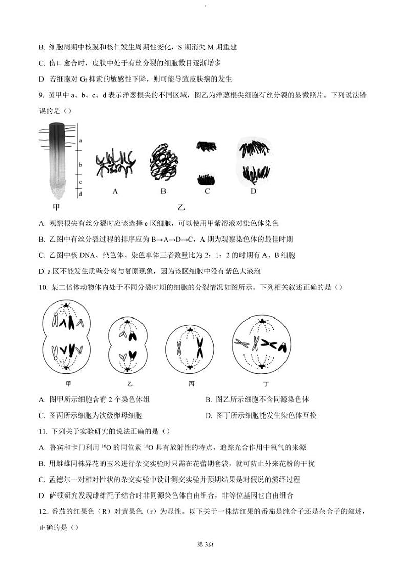 2024～2025学年安徽省合肥市六校联盟高三(上)期中生物试卷(含答案)第3页