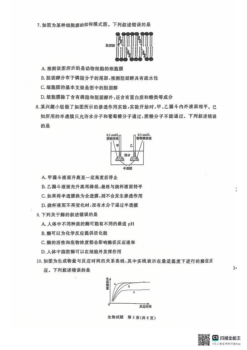 青桐鸣大联考2024-2025学年高一上学期12月联考生物试卷及答案第3页