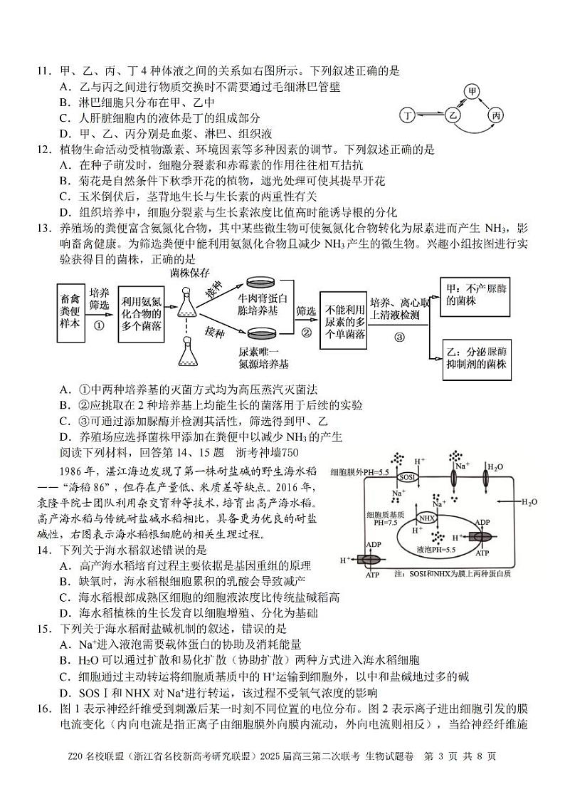 生物卷-2412 Z20名校联盟2025届高三第二次联考第3页