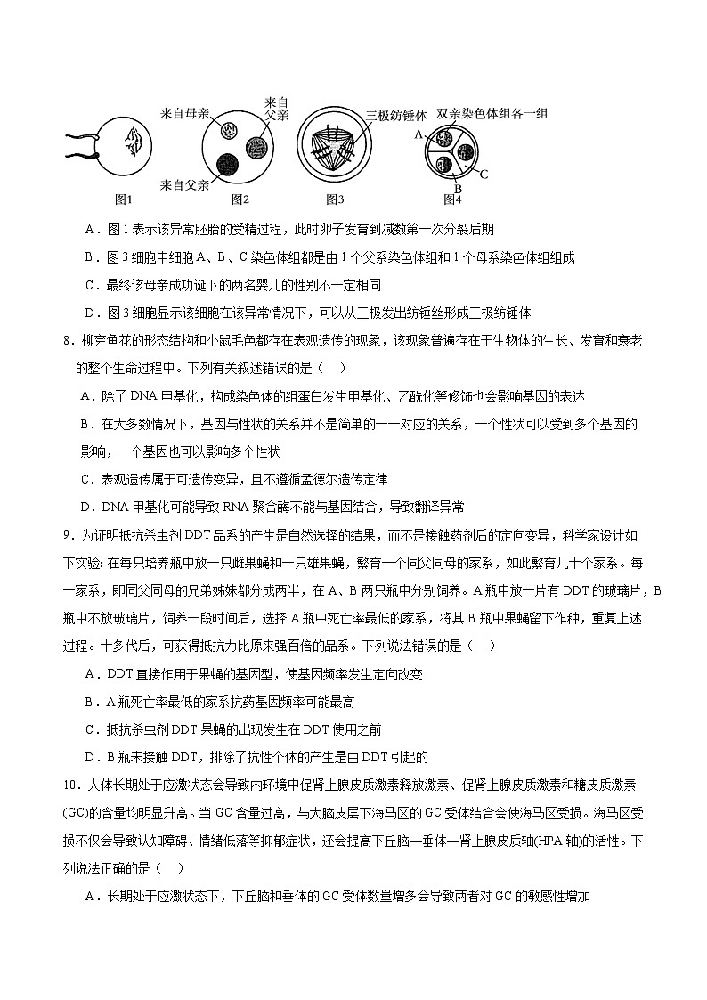 四川省成都市列五中学2024-2025学年高三上学期12月月考生物试题（Word版附答案）第3页