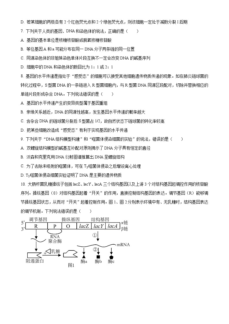 山东省潍坊市2023-2024学年高一上学期1月期末考试生物试题第3页