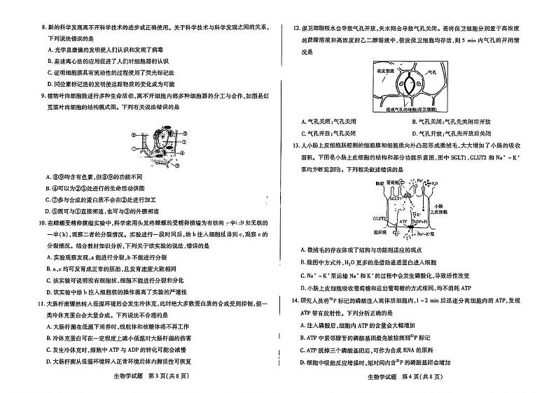 天一大联考2024-2025学年高一年级12月阶段性测试（二）生物试卷及答案第2页