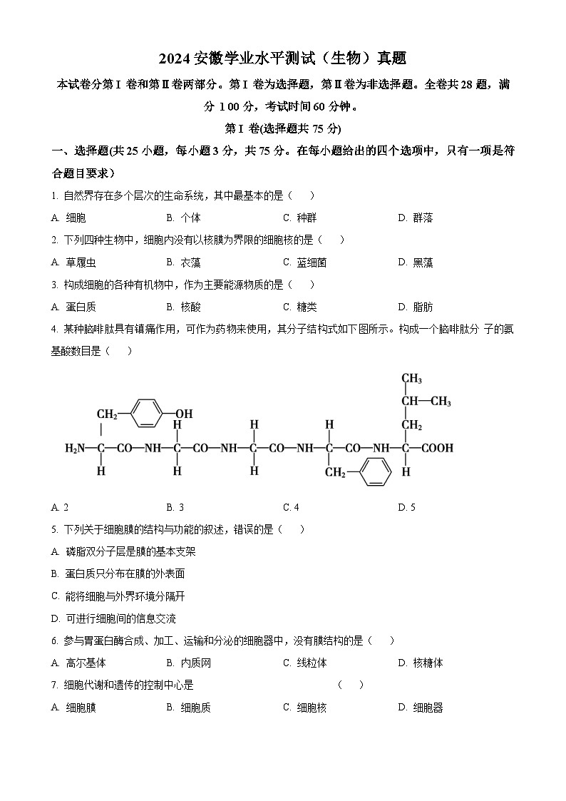 2024年安徽省普通高中学业水平合格性考试生物试卷  Word版无答案第1页