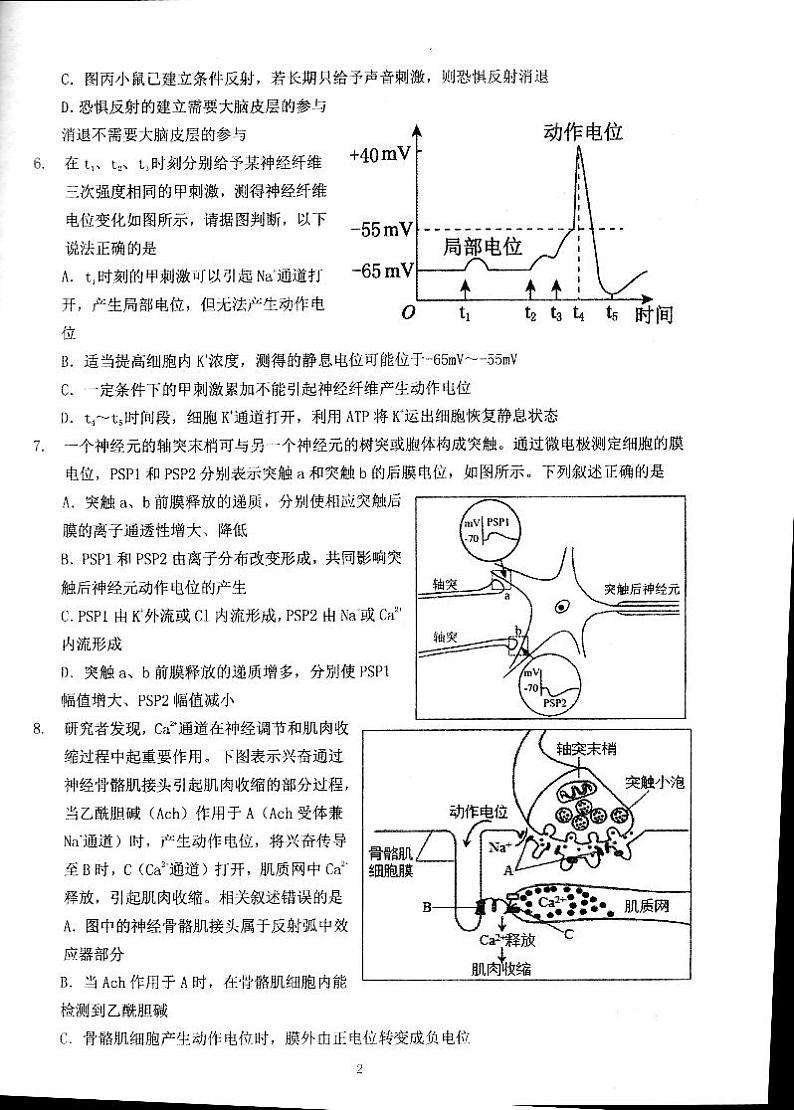 北京市海淀区北京理工大学附属中学2024-2025学年高二上学期12月月考生物试题第2页