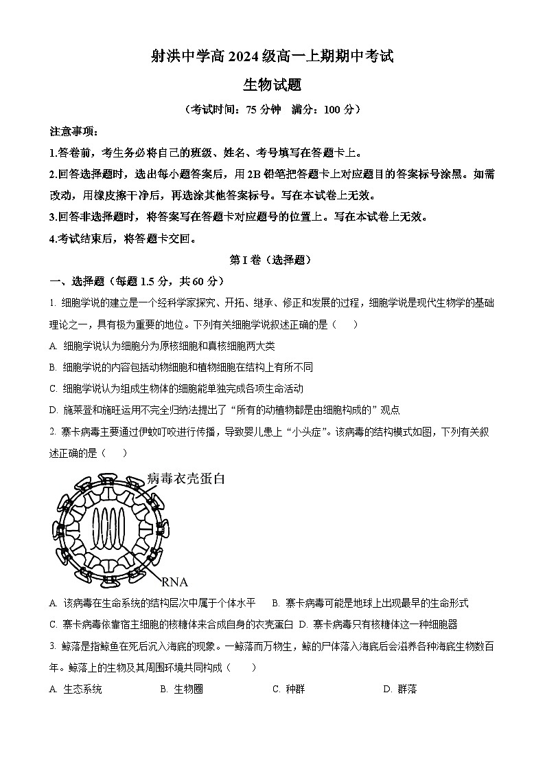 四川省遂宁市射洪中学2024-2025学年高一上学期12月期中生物试题 Word版无答案第1页