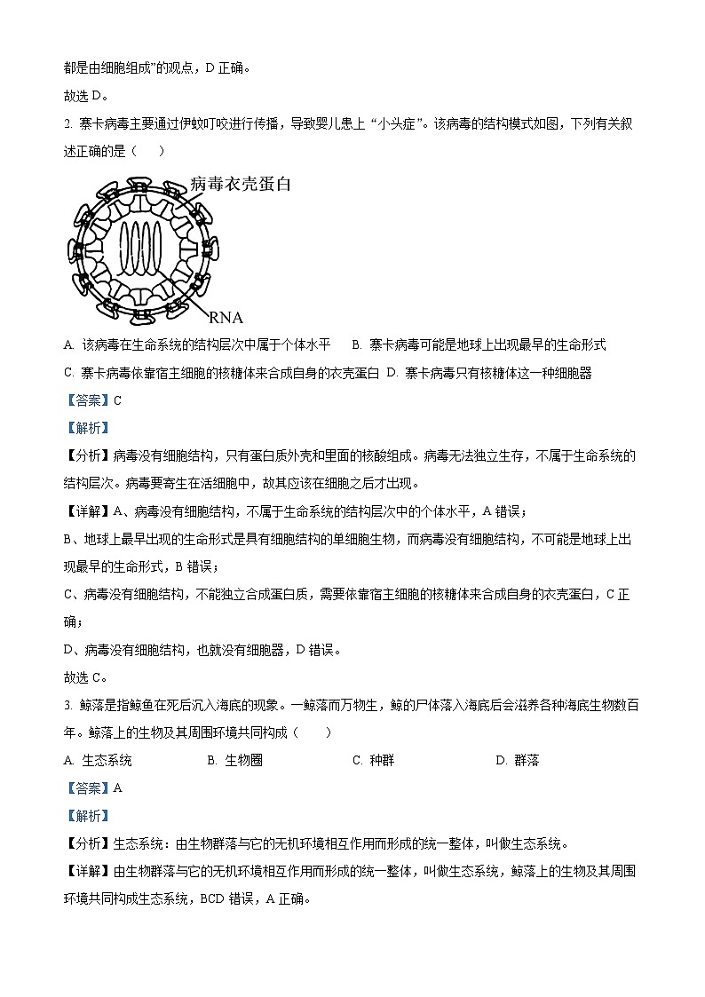 四川省遂宁市射洪中学2024-2025学年高一上学期12月期中生物试题 Word版含解析第2页