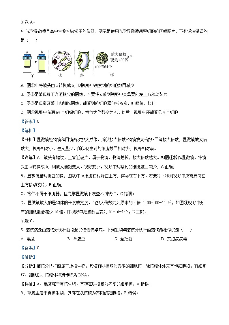 四川省遂宁市射洪中学2024-2025学年高一上学期12月期中生物试题 Word版含解析第3页