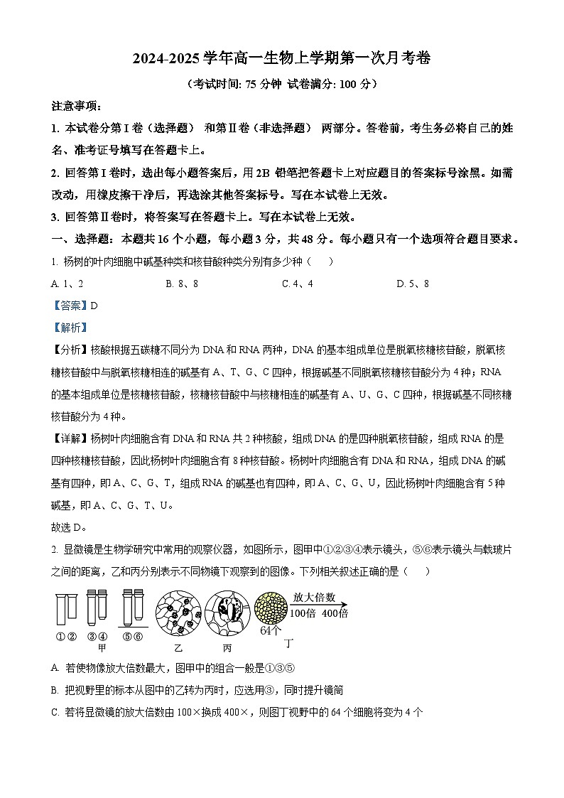 四川省自贡市荣县中学2024-2025学年高一上学期第一次月考生物试题 Word版含解析第1页