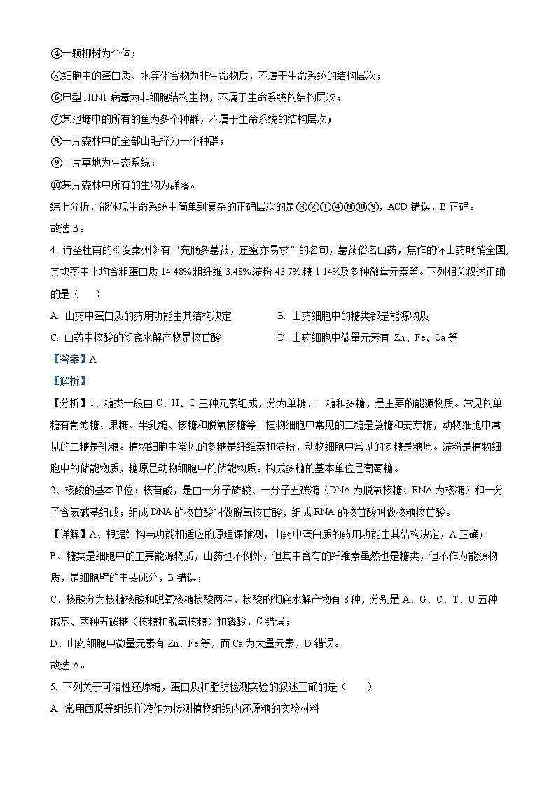 四川省自贡市荣县中学2024-2025学年高一上学期第一次月考生物试题 Word版含解析第3页