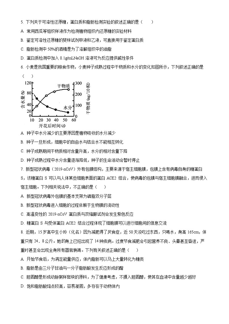 四川省自贡市荣县中学2024-2025学年高一上学期第一次月考生物试题 Word版无答案第2页