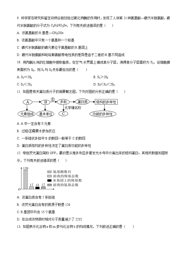 四川省自贡市荣县中学2024-2025学年高一上学期第一次月考生物试题 Word版无答案第3页