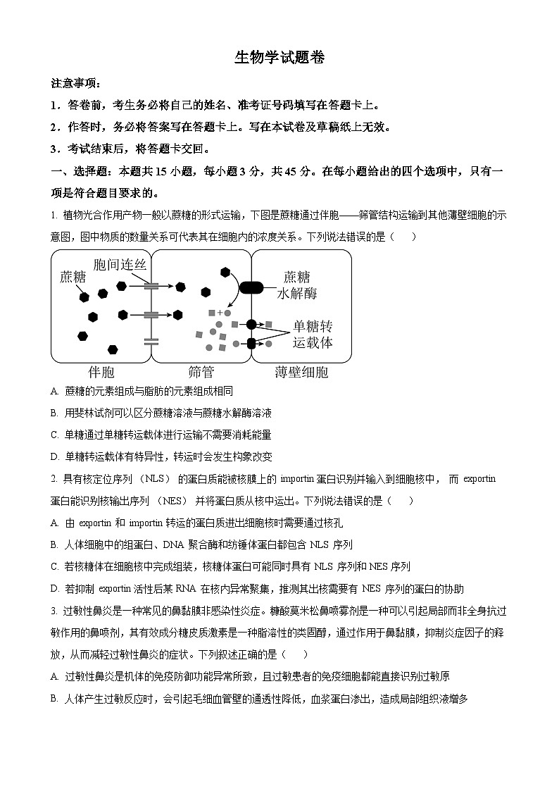 重庆市第一中学2024-2025学年高三上学期11月期中考试生物学试题卷 Word版无答案第1页