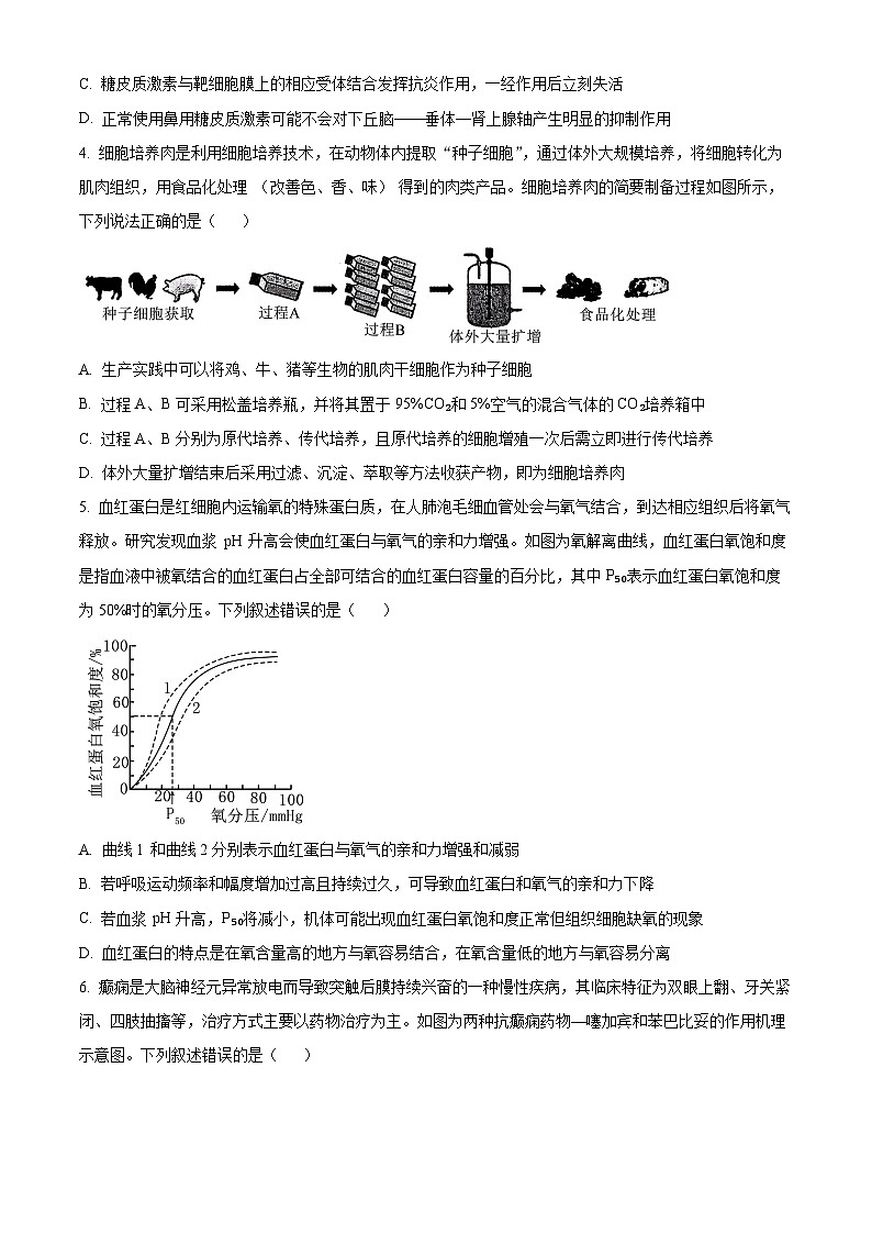 重庆市第一中学2024-2025学年高三上学期11月期中考试生物学试题卷 Word版无答案第2页