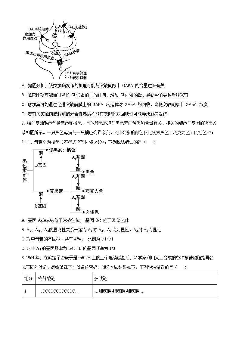 重庆市第一中学2024-2025学年高三上学期11月期中考试生物学试题卷 Word版无答案第3页