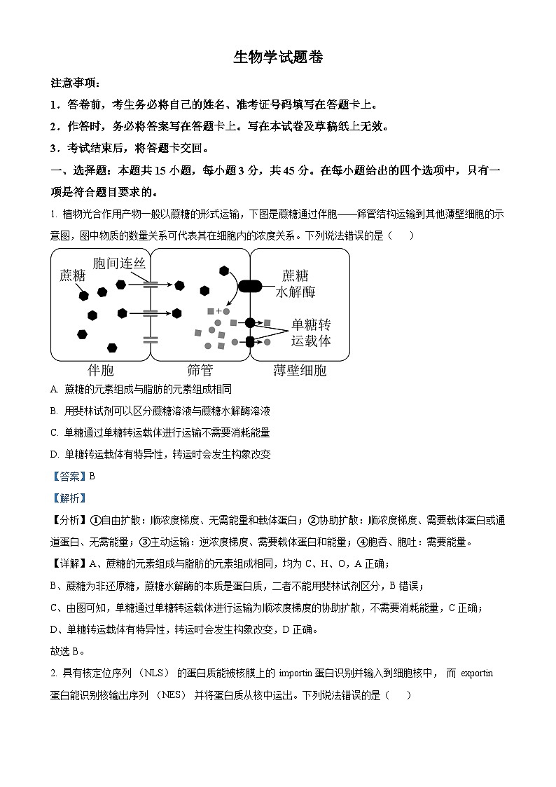 重庆市第一中学2024-2025学年高三上学期11月期中考试生物学试题卷 Word版含解析第1页
