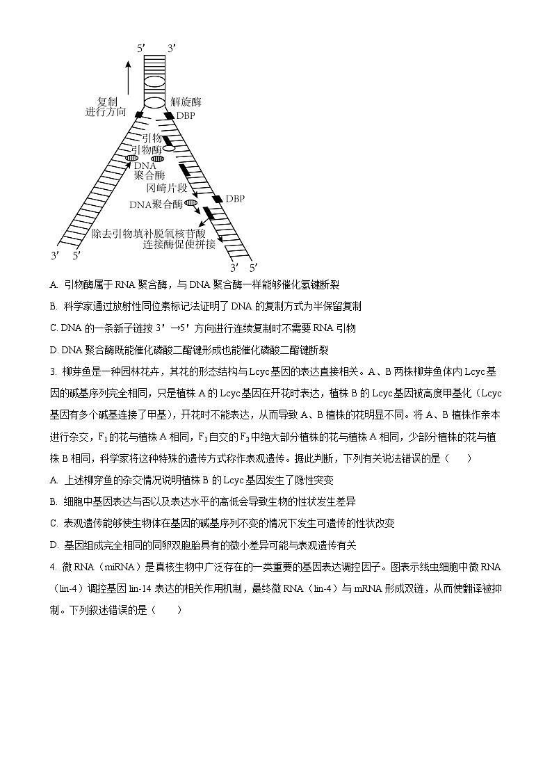 重庆市清华中学2024-2025学年高二上学期12月期中生物试题 Word版无答案第2页