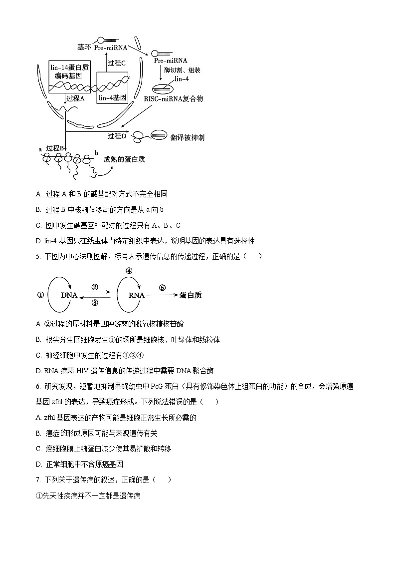重庆市清华中学2024-2025学年高二上学期12月期中生物试题 Word版无答案第3页