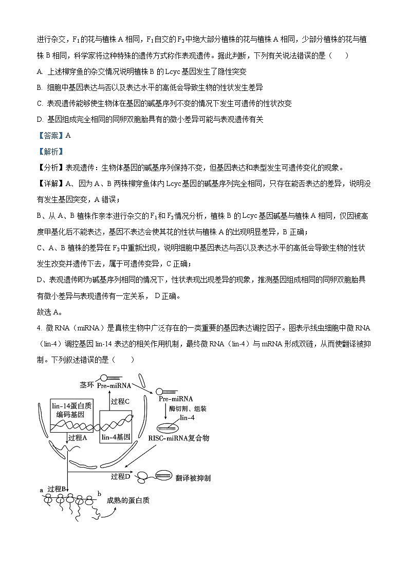重庆市清华中学2024-2025学年高二上学期12月期中生物试题 Word版含解析第3页