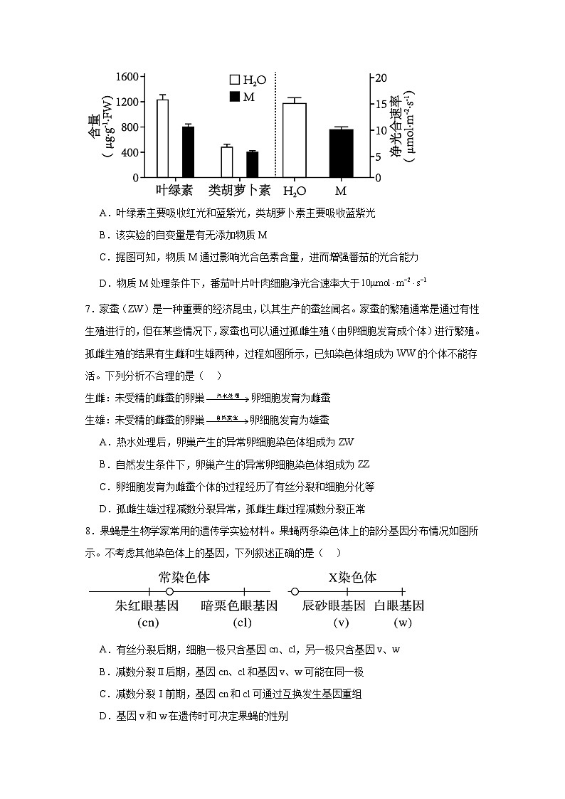 湖北省部分学校2024-2025学年高三上学期12月联考生物试题第3页
