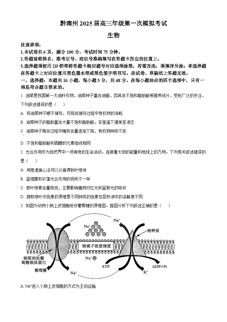 贵州省黔南布依族苗族自治州都匀市、贵定县2025届高三上学期第一次模拟考试生物试题无答案第1页
