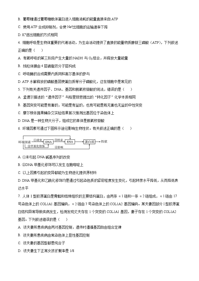 贵州省黔南布依族苗族自治州都匀市、贵定县2025届高三上学期第一次模拟考试生物试题无答案第2页