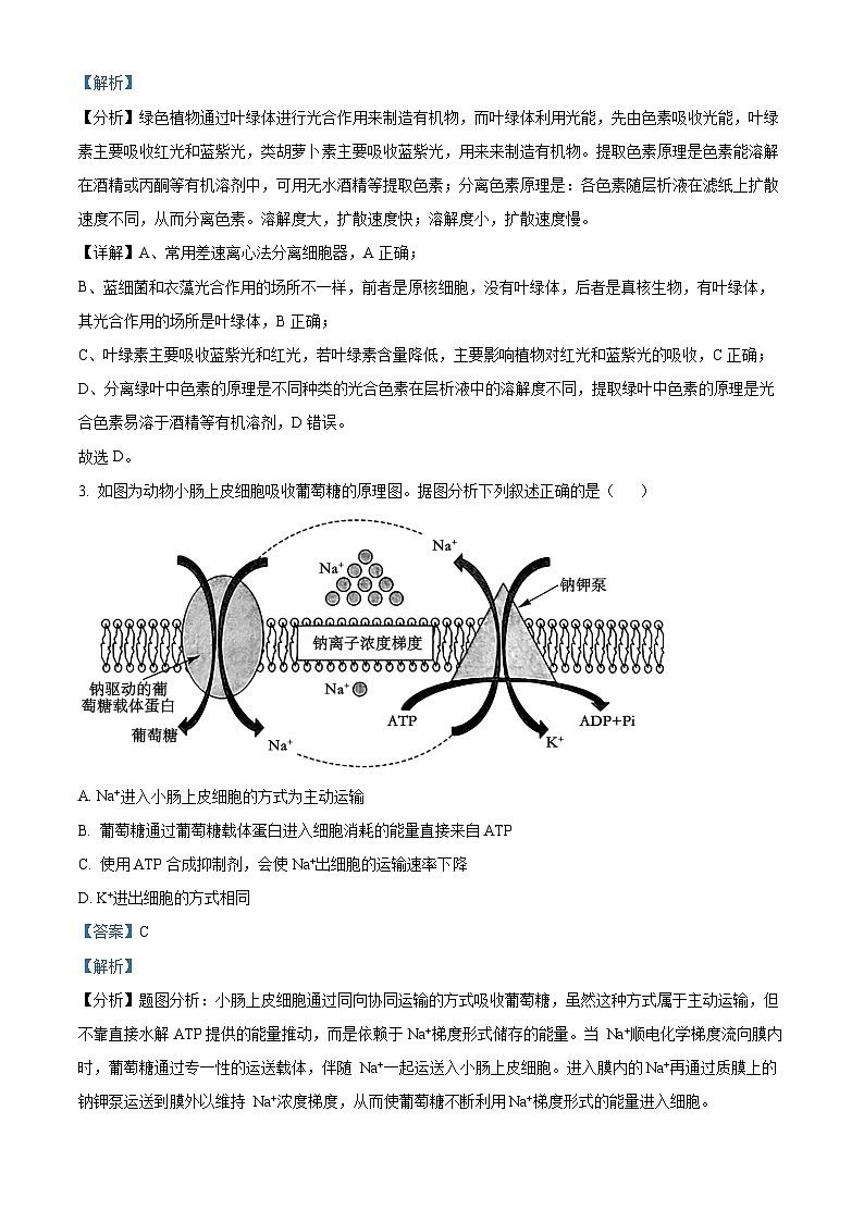 贵州省黔南布依族苗族自治州都匀市、贵定县2025届高三上学期第一次模拟考试生物试题含解析第2页