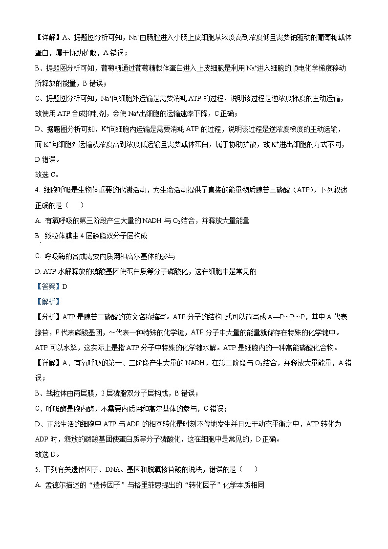 贵州省黔南布依族苗族自治州都匀市、贵定县2025届高三上学期第一次模拟考试生物试题含解析第3页