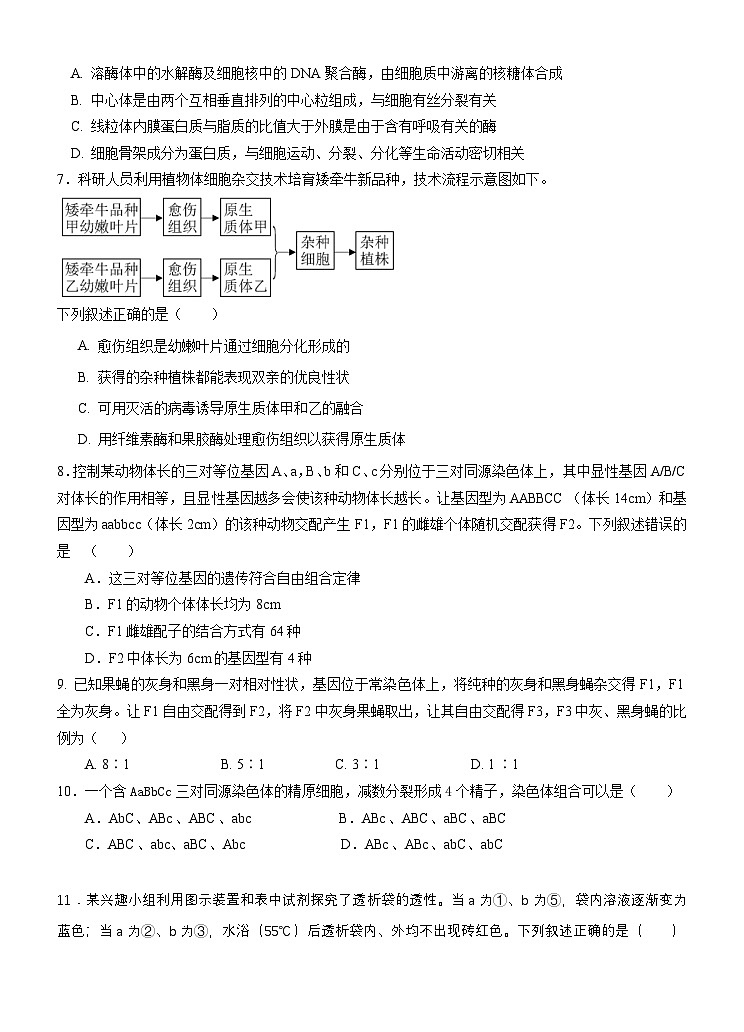 福建省南平市高级中学2024-2025学年高三上学期期中考试生物试题第2页