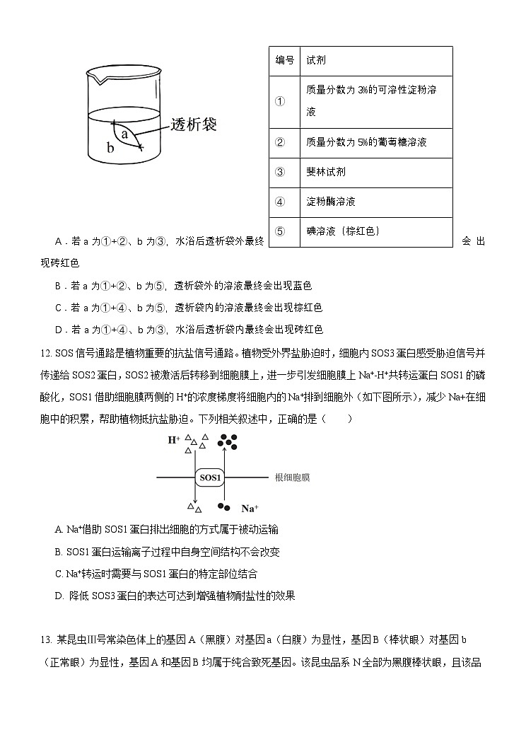 福建省南平市高级中学2024-2025学年高三上学期期中考试生物试题第3页