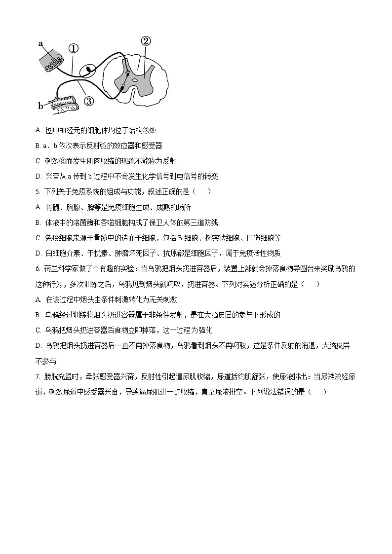 精品解析：福建省泉州市第七中学2024-2025学年高二上学期期中考试生物试题（原卷版）第2页