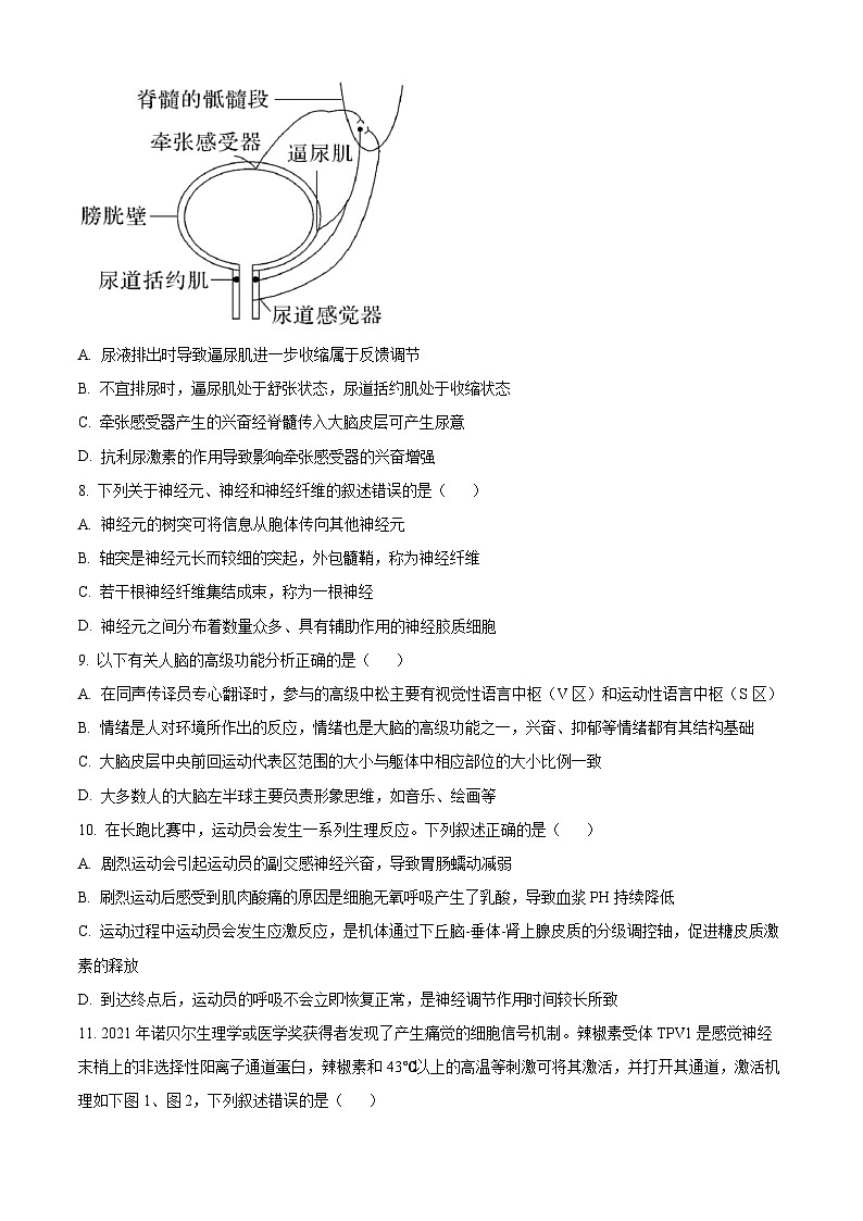 精品解析：福建省泉州市第七中学2024-2025学年高二上学期期中考试生物试题（原卷版）第3页