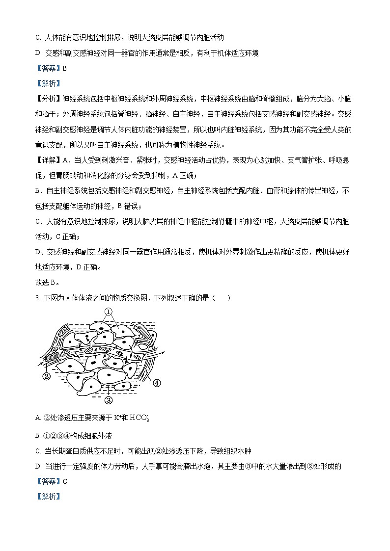 精品解析：福建省泉州市第七中学2024-2025学年高二上学期期中考试生物试题（解析版）第2页