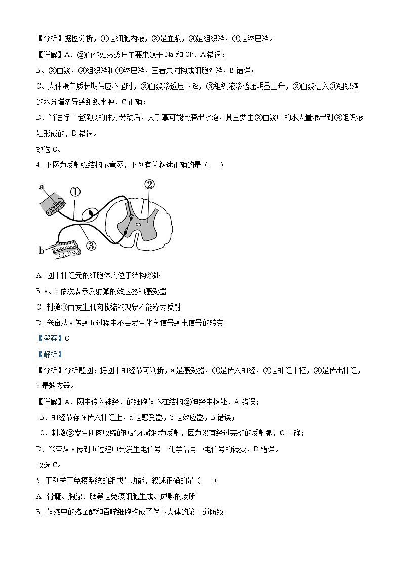 精品解析：福建省泉州市第七中学2024-2025学年高二上学期期中考试生物试题（解析版）第3页