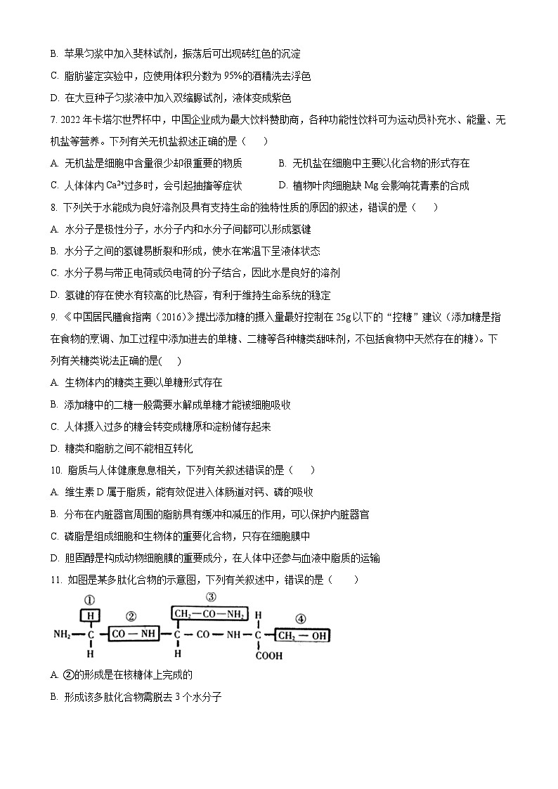 精品解析：福建省泉州市名校2022~2023学年高一上学期期中联考生物试题（原卷版）第2页