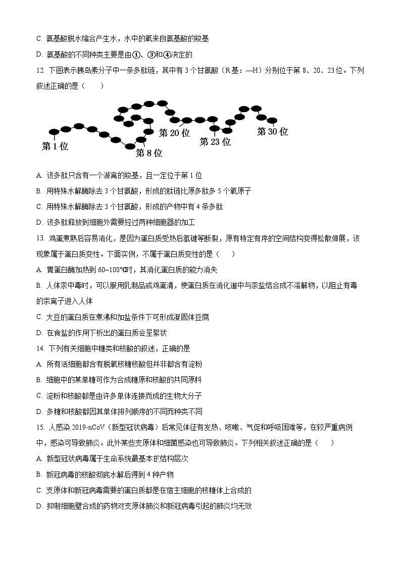 精品解析：福建省泉州市名校2022~2023学年高一上学期期中联考生物试题（原卷版）第3页