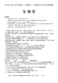 广东省六校（茂名一中，惠州一中，河源一中等）2024-2025学年高一上学期12月联合考试生物试题