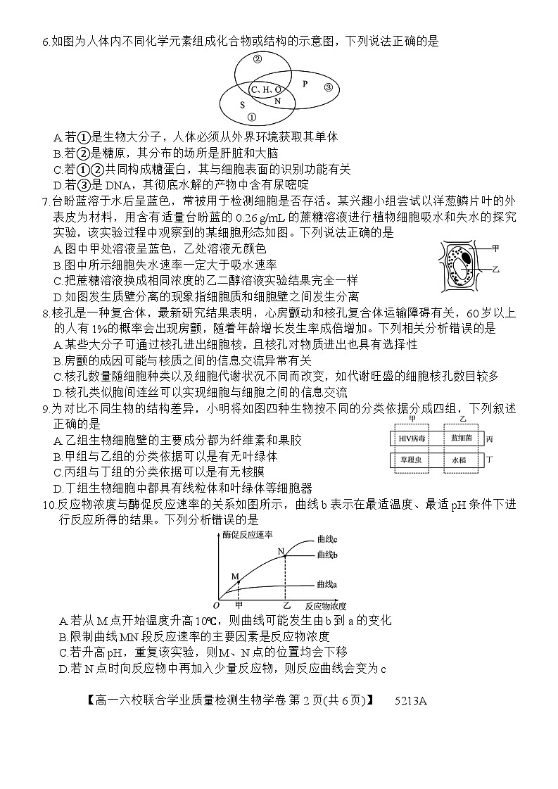 广东省六校（茂名一中，惠州一中，河源一中等）2024-2025学年高一上学期12月联合考试生物试题第2页