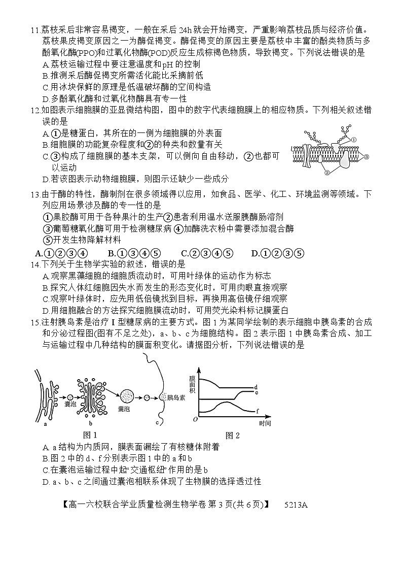 广东省六校（茂名一中，惠州一中，河源一中等）2024-2025学年高一上学期12月联合考试生物试题第3页
