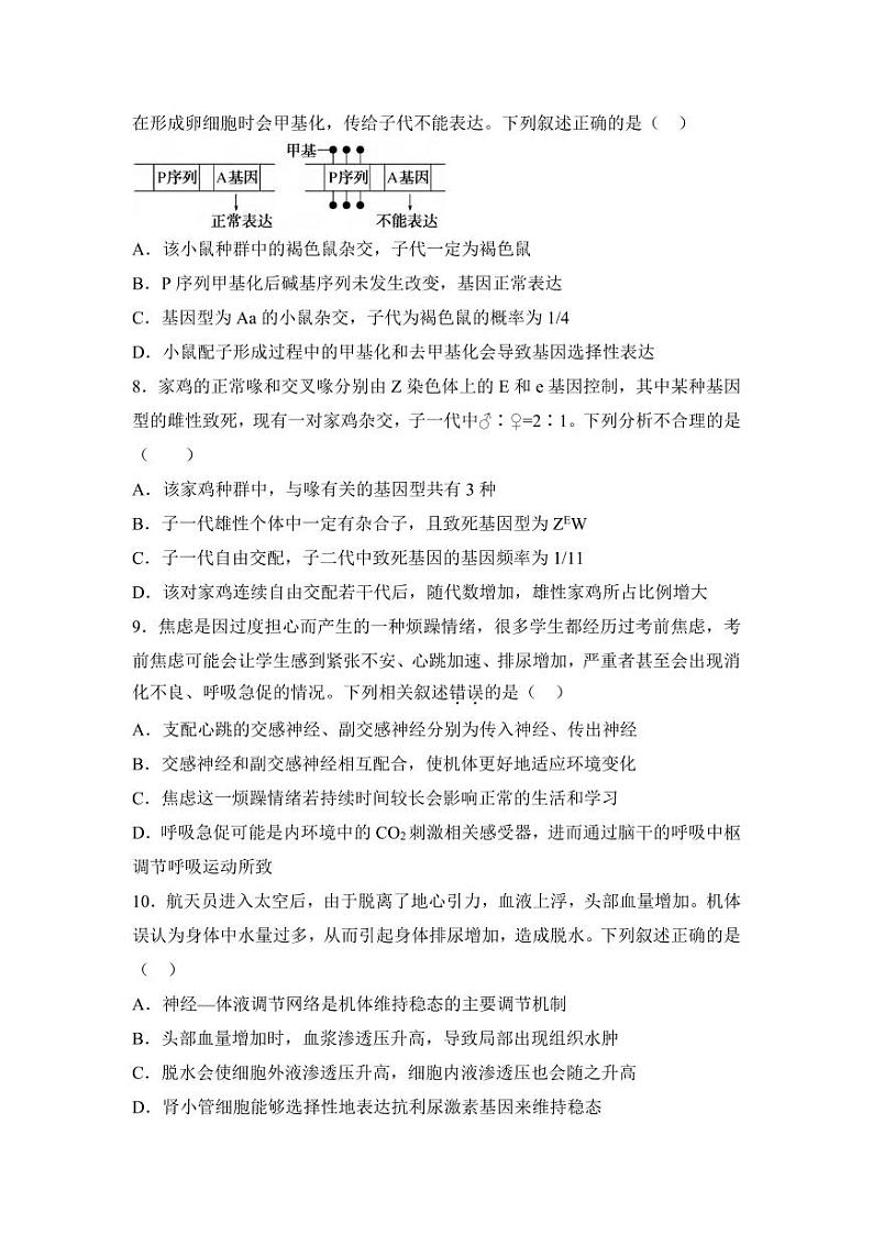 生物丨湖南省衡阳市衡阳县第一中学2025届高三12月第一次模拟考试生物试卷及答案第3页