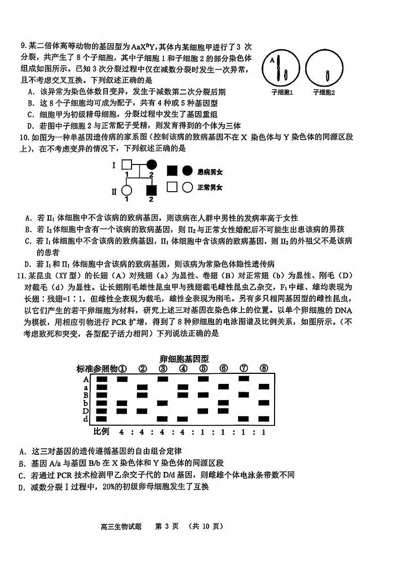 生物丨山东省名校联考2025届高三12月校级联合检测生物试卷及答案第3页