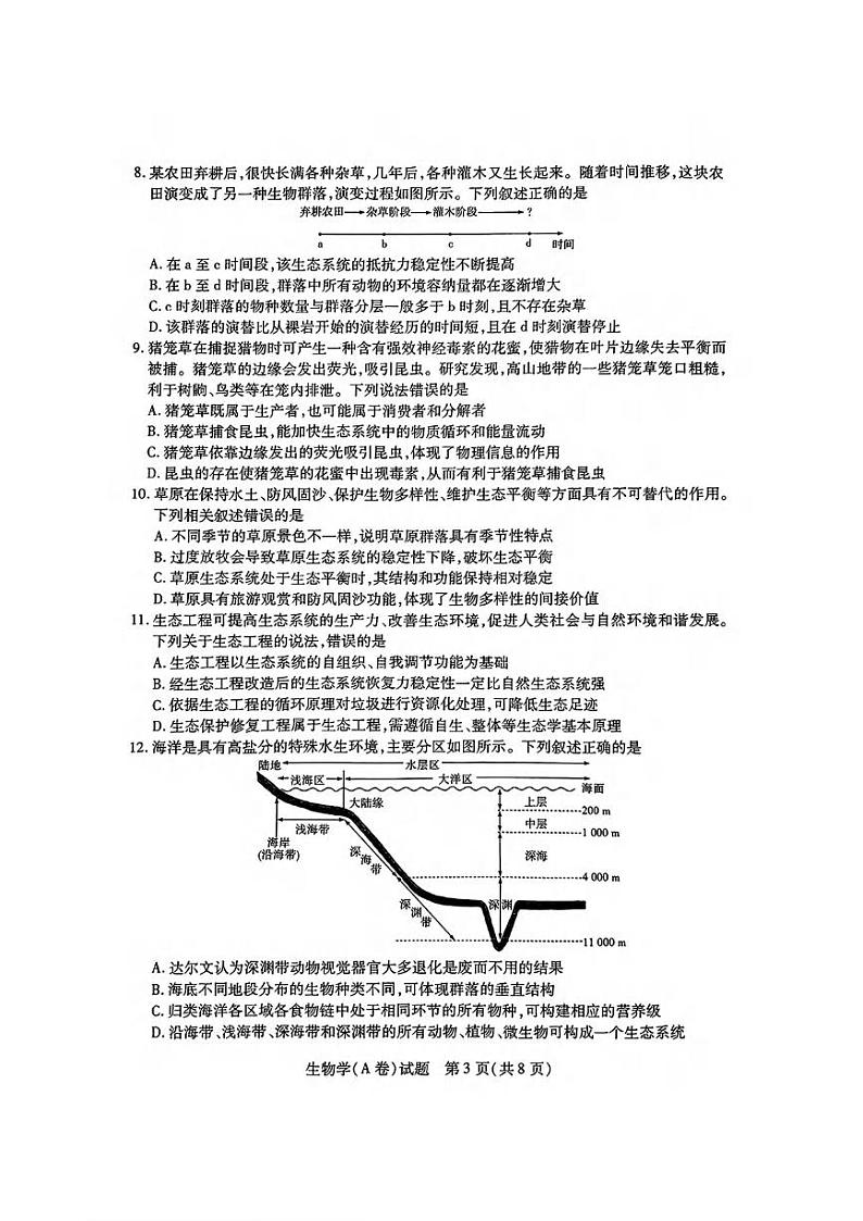 生物丨天一大联考河南省2025届高三12月高中毕业班阶段性测试（四）生物试卷及答案第3页