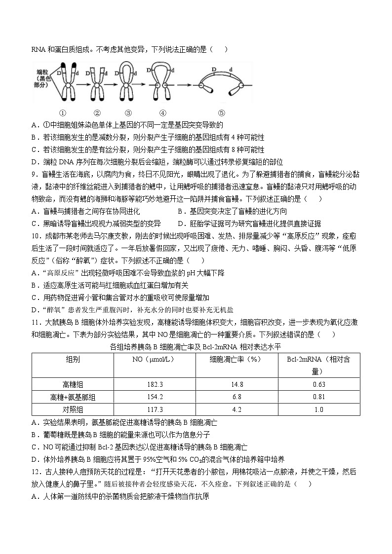 四川省成都市树德中学2024-2025学年高三上学期12月月考生物试题（Word版附答案）第3页