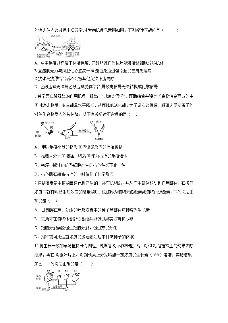 陕西省西安市部分学校2024-2025学年高二上学期12月联考生物试卷（Word版附答案）第3页