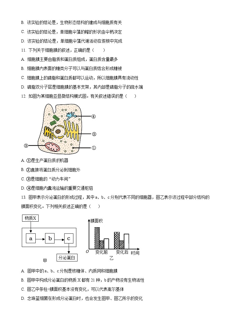 甘肃省天水市甘谷县2024-2025学年高一上学期11月月考生物试题  Word版无答案第3页