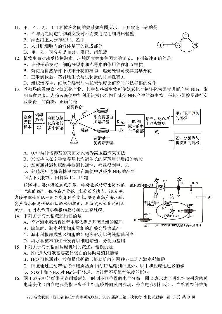 Z20 生物第3页