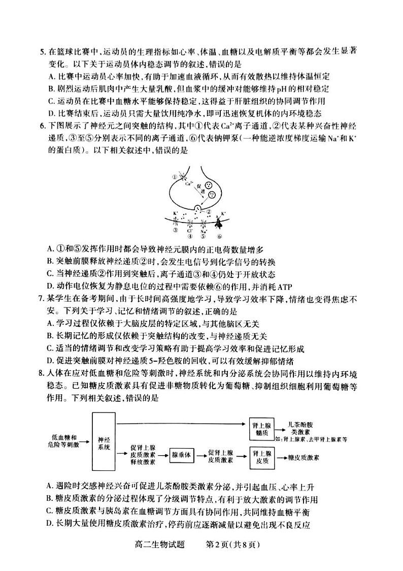 山西省晋城市2024-2025学年高二上学期12月月考生物试卷（PDF版附解析）第2页