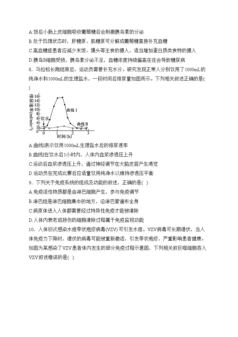 河南省开封市五校2024-2025学年高二上学期11月期中联考生物试卷(含答案)第3页