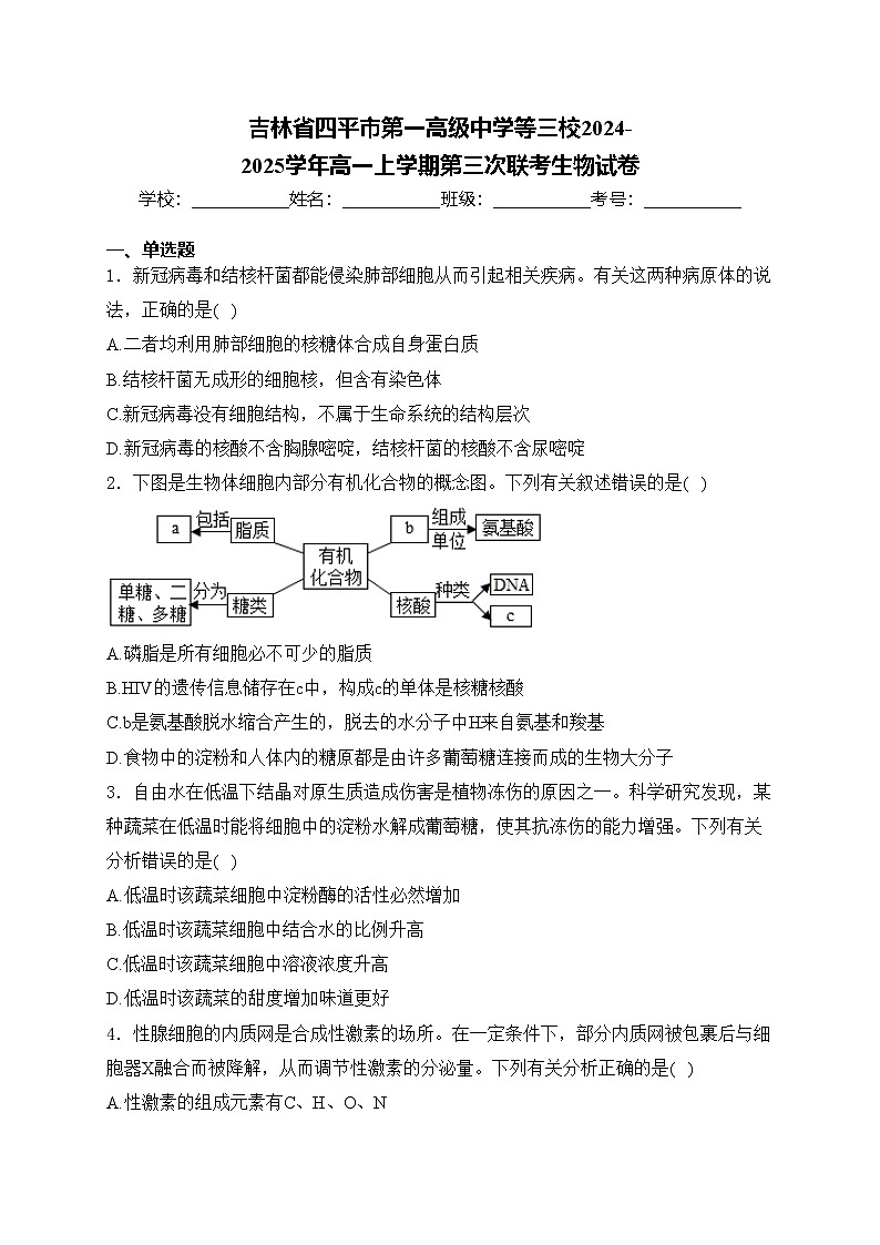 吉林省四平市第一高级中学等三校2024-2025学年高一上学期第三次联考生物试卷(含答案)第1页