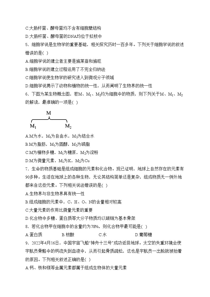 重庆市万州第三中学等多校2024-2025学年高一上学期12月月考生物试卷(含答案)第2页