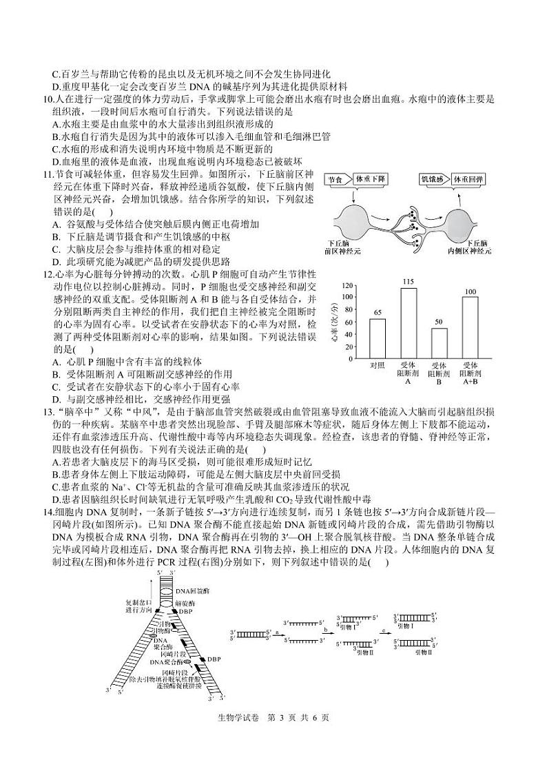 四川省名校联盟2025届高三12月联考生物第3页
